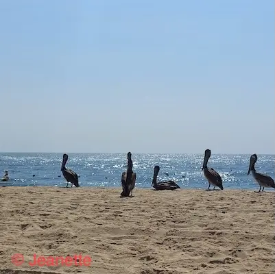 Een huis en land kopen in Mexico