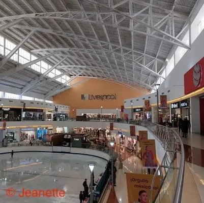 Bedbodems kopen in Mexico