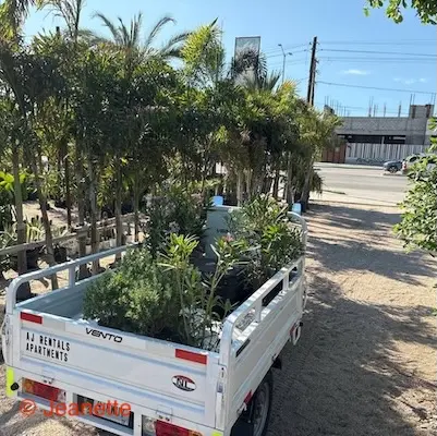 Naar het tuincentrum in Mexico