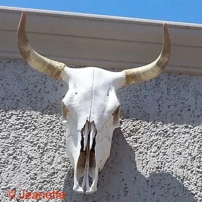 En toen was het zomer