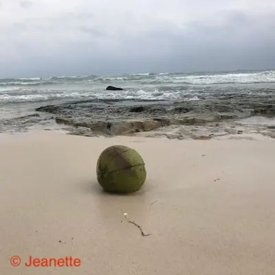 Brullende storm