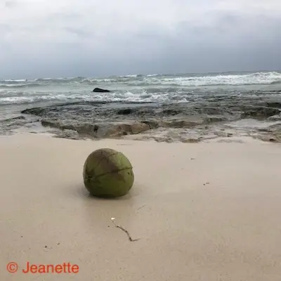 Wil ik wel in Mexico blijven? 
