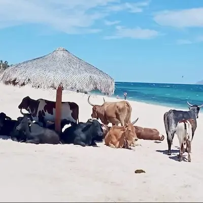 De hitte in Baja California Sur