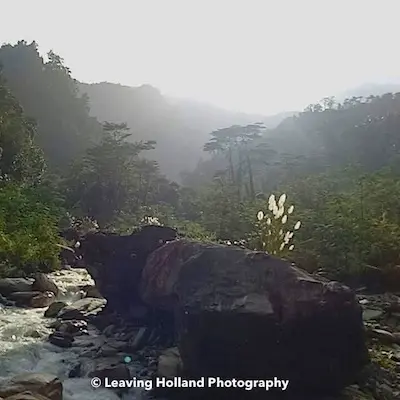 Kapsel voor geëmigreerde vrouwen boven de 60