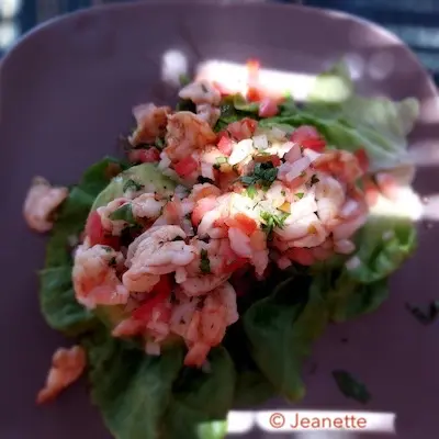 Wat eten we vandaag? 