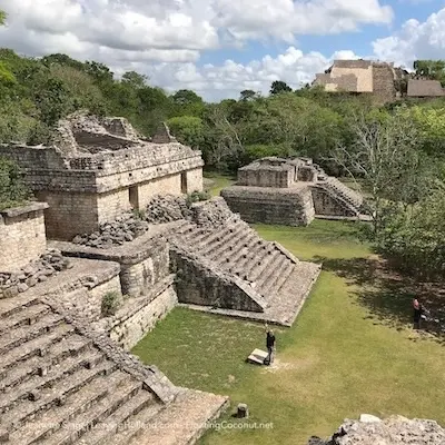 Het Verwende Maatschappij Syndroom