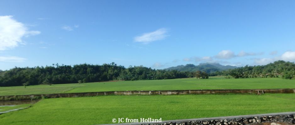 rijstvelden Panay Filipijnen