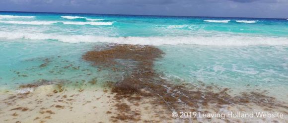 zeewire, cancun, playa del carmen, quintana roo, yucatan, Tui vakantie, hotels, strand, 2019, sargassum