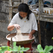 Gal_Filipina sifting rice