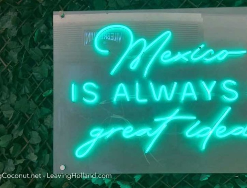 groene neonverlichting "Mexico is always a great idea", tegen een groene kunstbladeren wand.