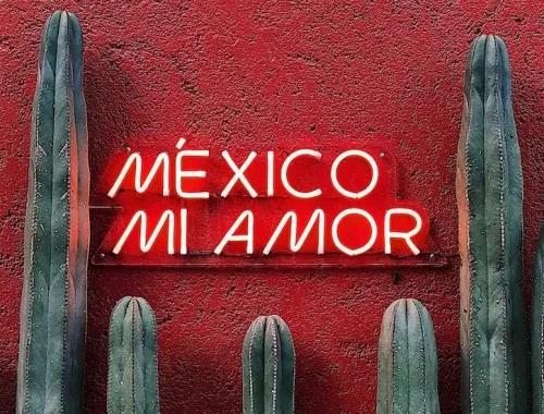 roden muur met de tekst: Mexico mi amor in neon letters en daaronder een rij groene cactussen