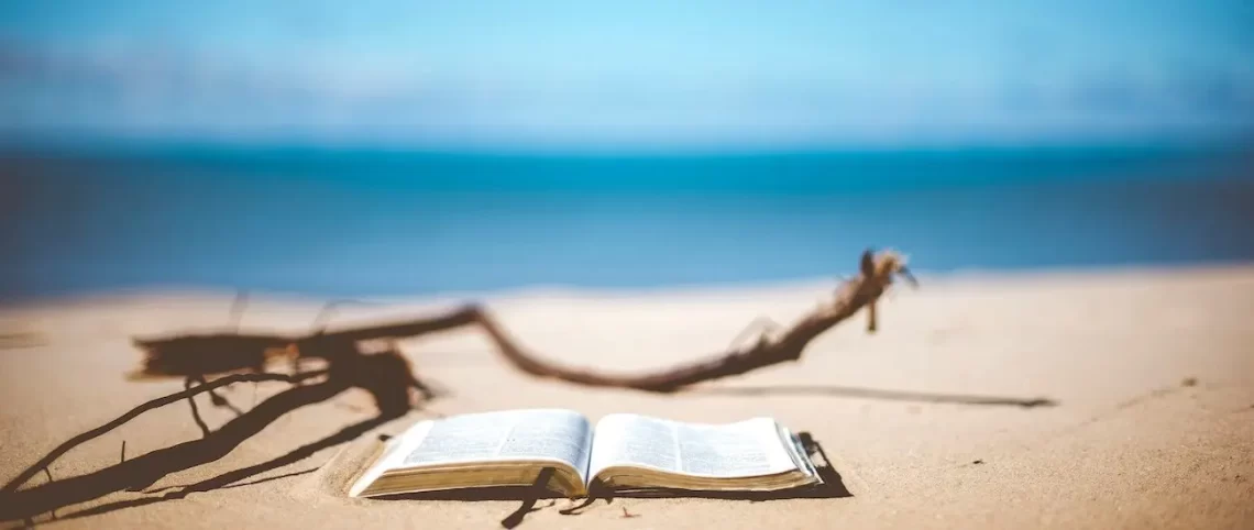 blauwe lucht, wit strand, dode tak, op de voorgrond een opengeslagen boek