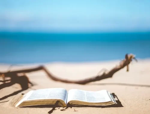 blauwe lucht, wit strand, dode tak, op de voorgrond een opengeslagen boek