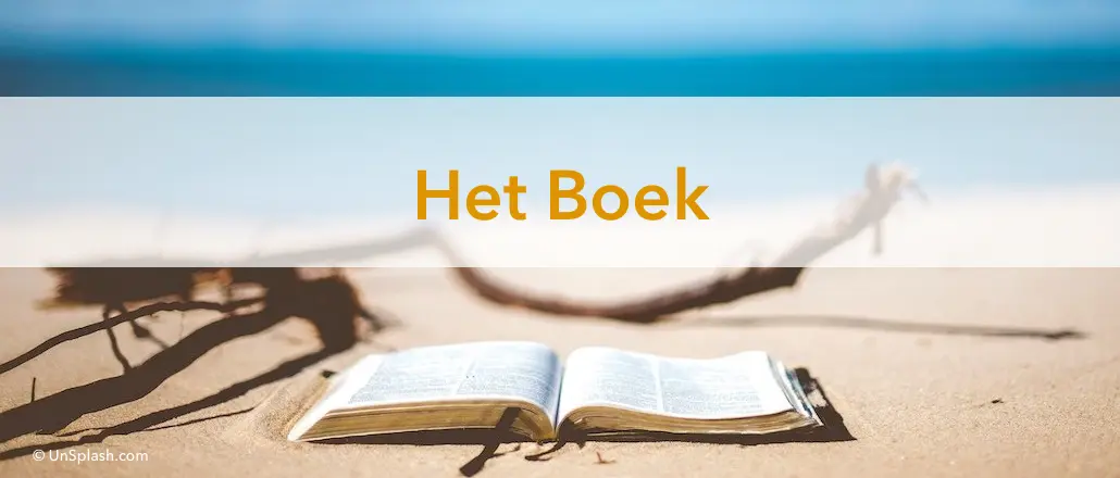 wit strand, dode tak op de voorgrond een opengeslagen boek, boven de tak de blauwe zee