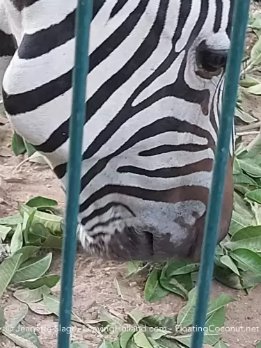 Merida Zoo